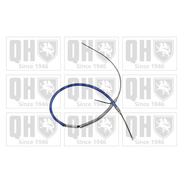 1002768197.jpg